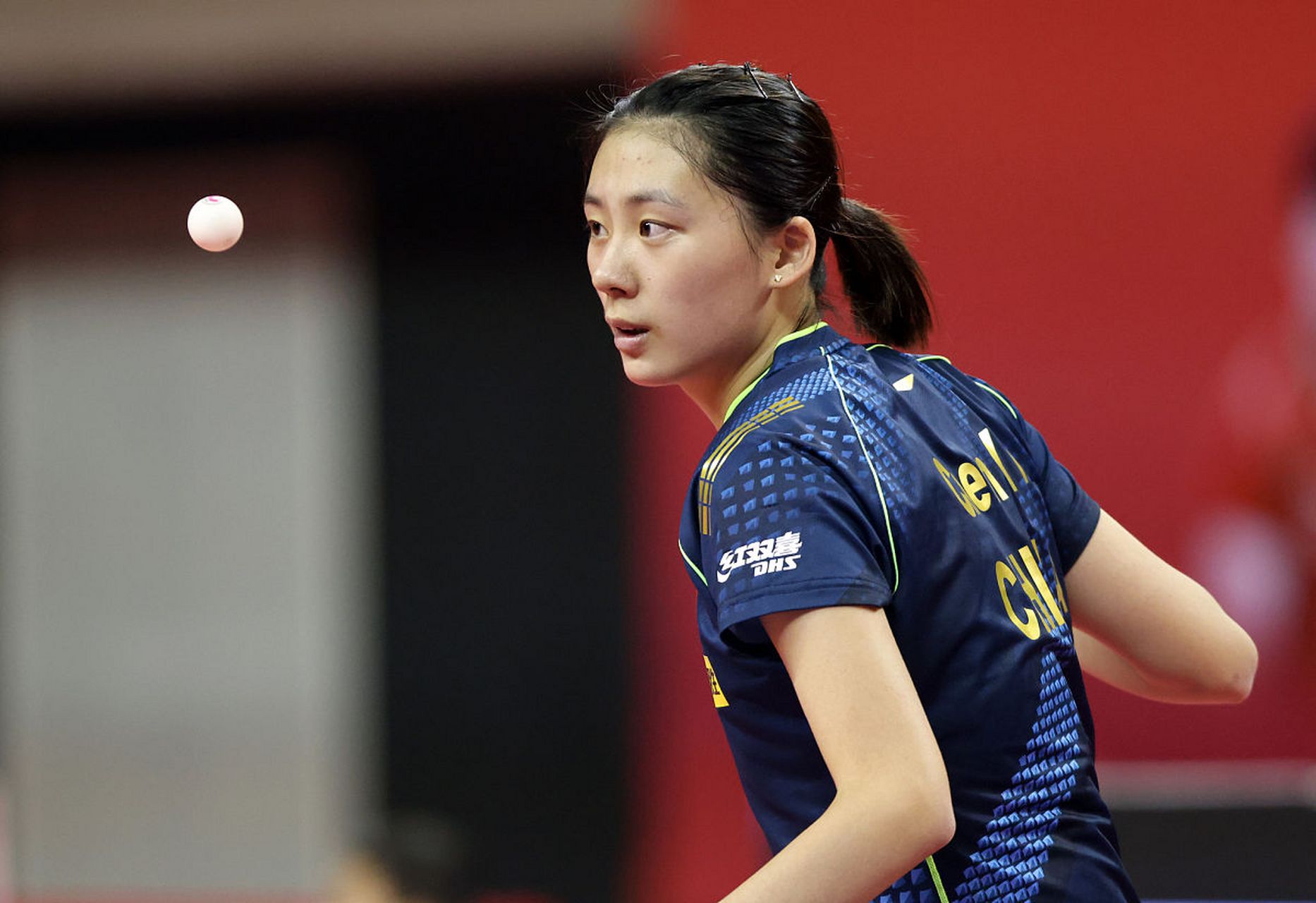 了一篇引人 了一篇引人